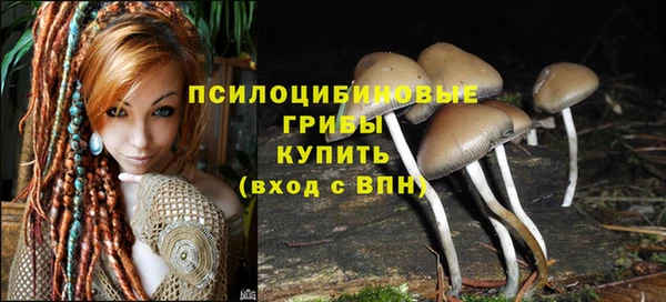PSILOCYBIN Богородск