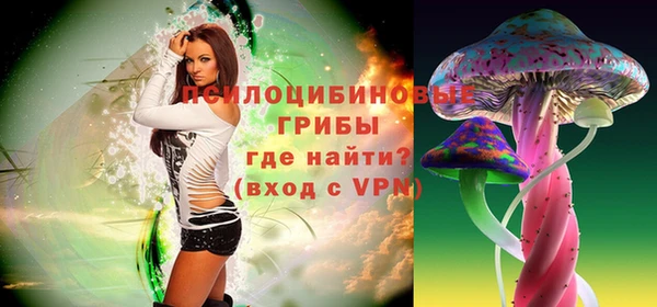 прущие грибы Надым