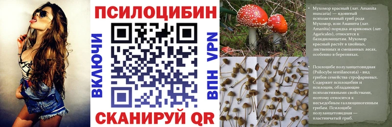 Галлюциногенные грибы Cubensis  OMG ССЫЛКА  Нижний Ломов 